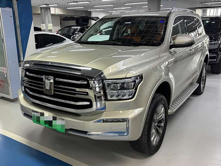 Tank 500 Hybrid 2025 2025款 Hi4-Z