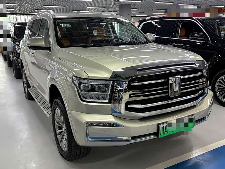 Tank 500 Hybrid 2025 2025款 Hi4-Z