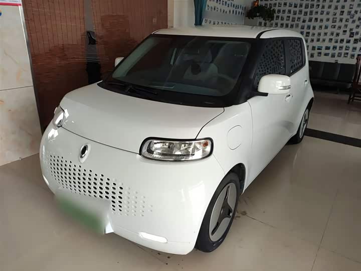 Ora White Cat 2020 2020款 360km 标准型
