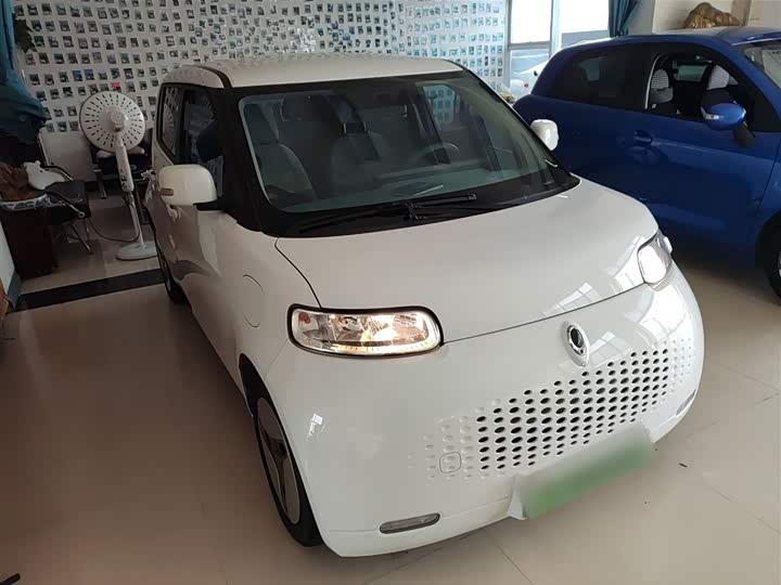 Ora White Cat 2020 2020款 360km 标准型