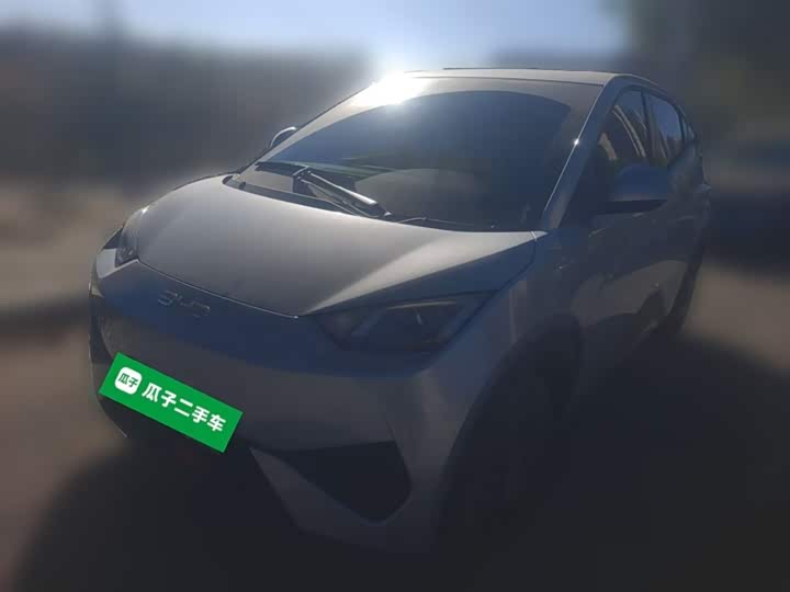 BYD Seagull 2025 2025款 智驾版 305km 活力版