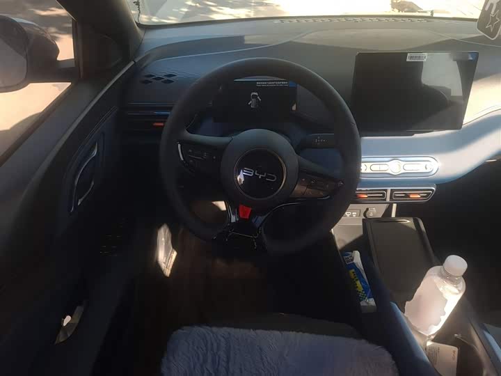 BYD Seagull 2025 2025款 智驾版 305km 活力版