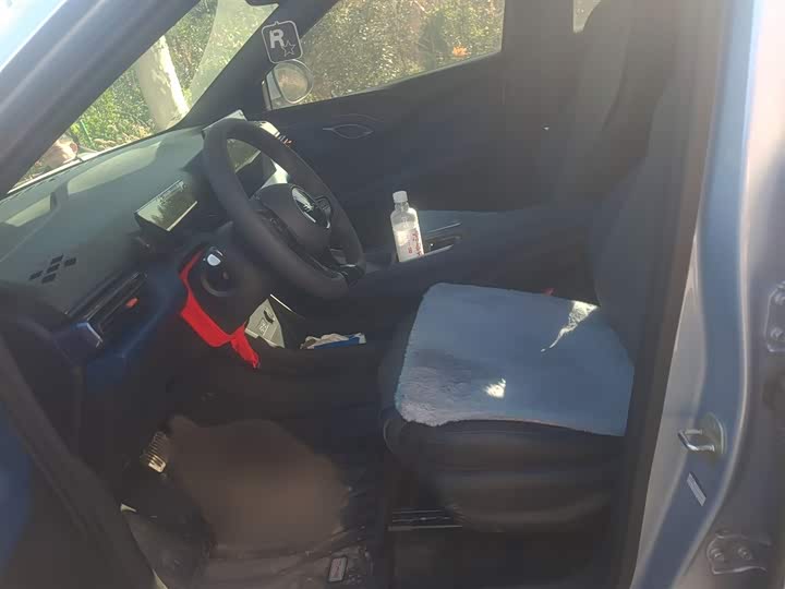 BYD Seagull 2025 2025款 智驾版 305km 活力版