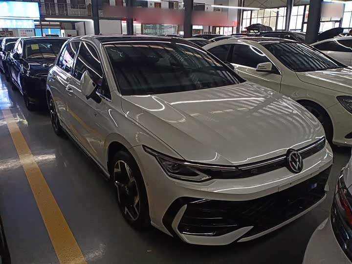 Volkswagen Golf 2025 2025款 300TSI R-Line