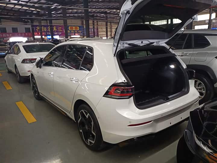 Volkswagen Golf 2025 2025款 300TSI R-Line