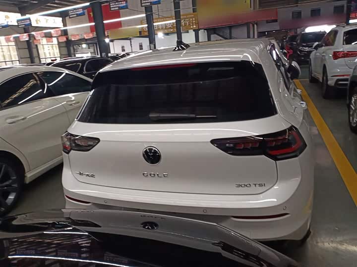 Volkswagen Golf 2025 2025款 300TSI R-Line