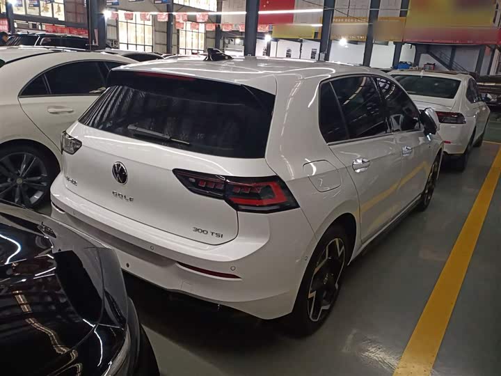 Volkswagen Golf 2025 2025款 300TSI R-Line