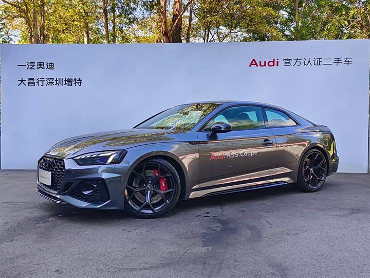 Audi RS 5 2024 2024款 RS 5 2.9T Coupe 燃擎版