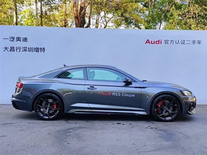 Audi RS 5 2024 2024款 RS 5 2.9T Coupe 燃擎版