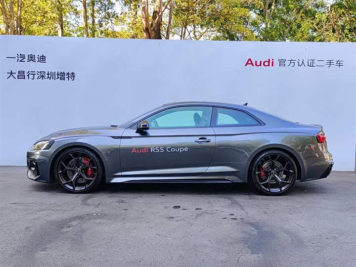 Audi RS 5 2024 2024款 RS 5 2.9T Coupe 燃擎版