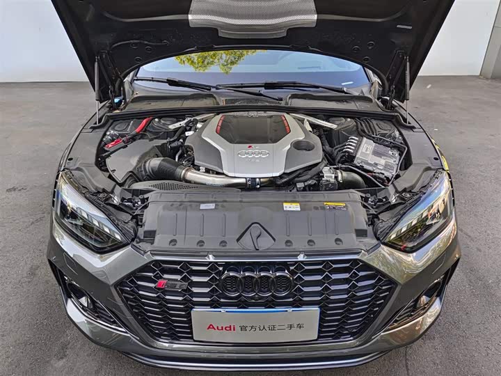 Audi RS 5 2024 2024款 RS 5 2.9T Coupe 燃擎版