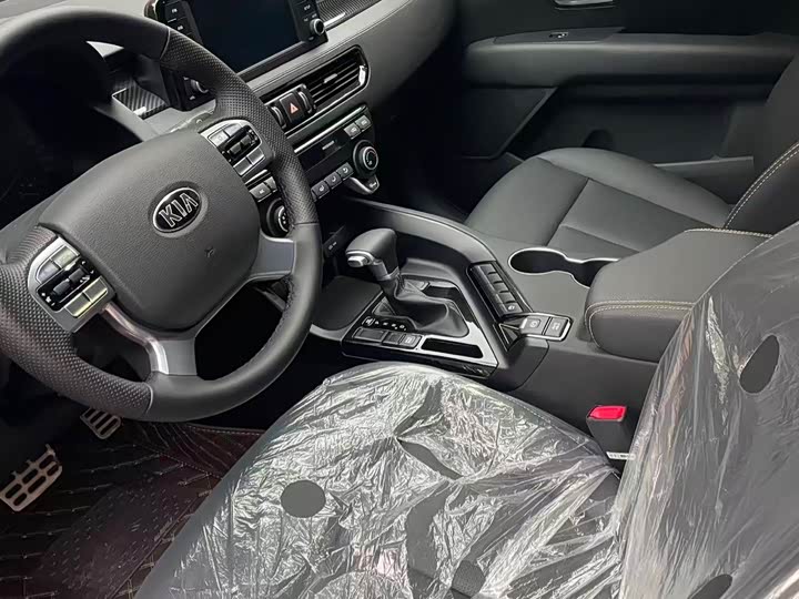 Kia KX7 2020 2020款 2.0T 自动两驱GLS 7座