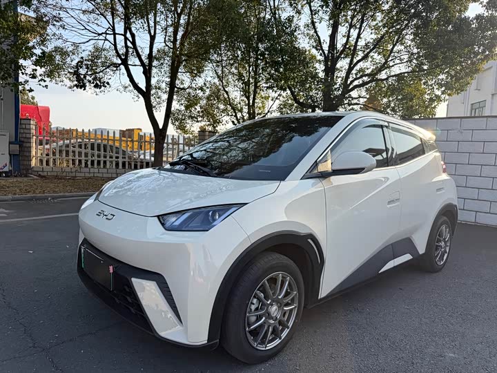 BYD Seagull 2025 2025款 智驾版 305km 活力版