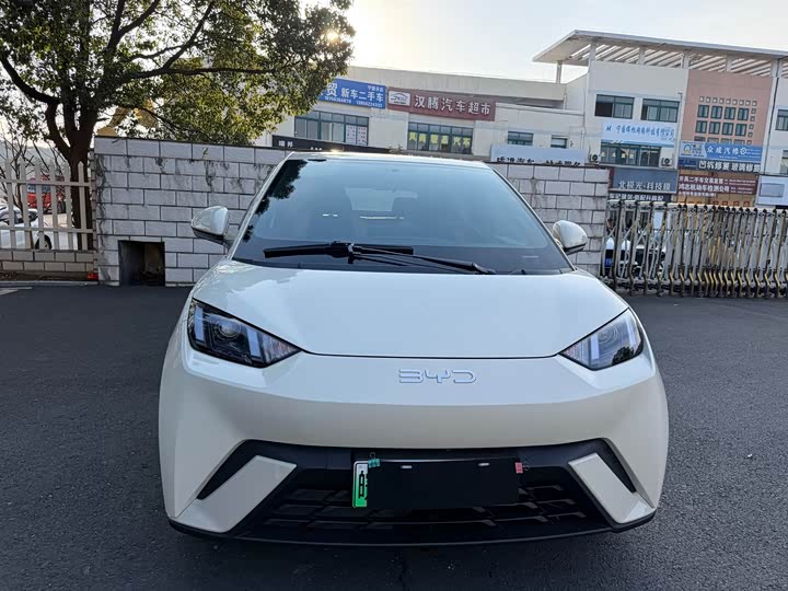 BYD Seagull 2025 2025款 智驾版 305km 活力版