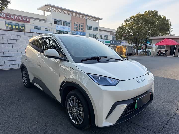 BYD Seagull 2025 2025款 智驾版 305km 活力版