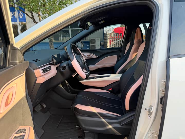 BYD Seagull 2025 2025款 智驾版 305km 活力版