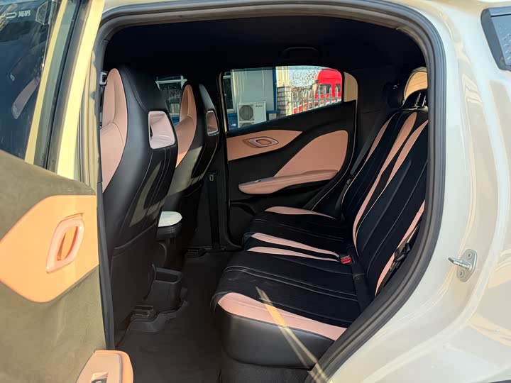 BYD Seagull 2025 2025款 智驾版 305km 活力版