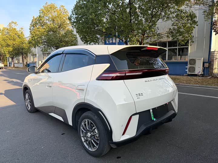 BYD Seagull 2025 2025款 智驾版 305km 活力版