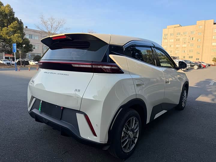 BYD Seagull 2025 2025款 智驾版 305km 活力版