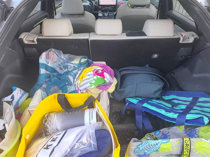 Toyota bZ4X 2022 2022款 四驱高性能Premium版