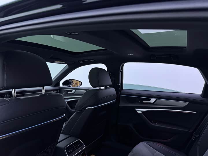 Audi A6L Hybrid 2020 2020款 55 TFSI e quattro