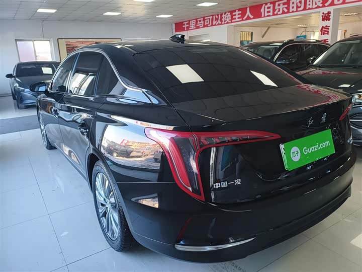 Hongqi E-QM5 2024 2024款 610km PLUS