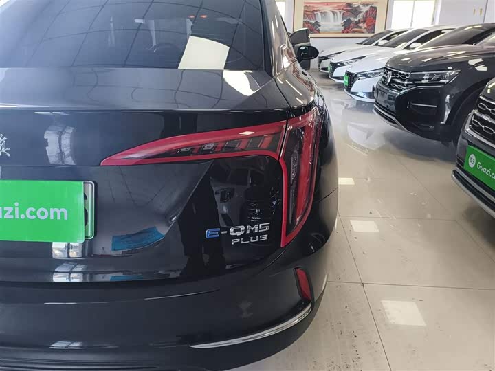 Hongqi E-QM5 2024 2024款 610km PLUS