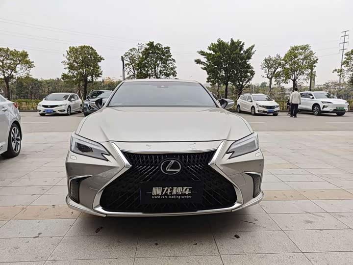Lexus ES 2025 2025款 200 臻享版
