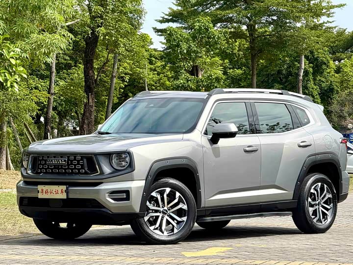 Haval H-Dog 2023 2023款 2.0T 两驱潮野版Plus