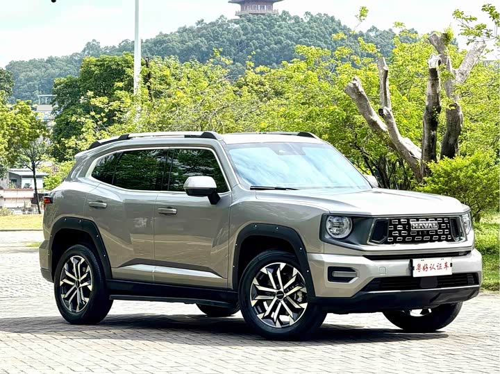 Haval H-Dog 2023 2023款 2.0T 两驱潮野版Plus