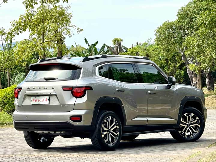Haval H-Dog 2023 2023款 2.0T 两驱潮野版Plus