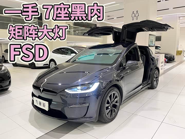 Tesla Model X 2023 2023款 双电机全轮驱动版