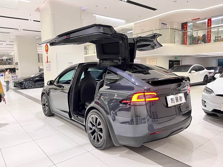 Tesla Model X 2023 2023款 双电机全轮驱动版