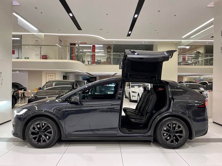 Tesla Model X 2023 2023款 双电机全轮驱动版