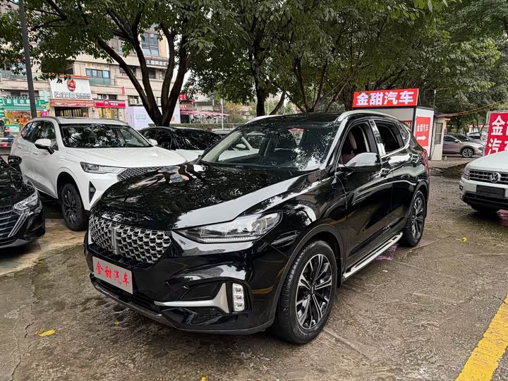 Wey VV6 2021 2021款 2.0T 两驱智护+