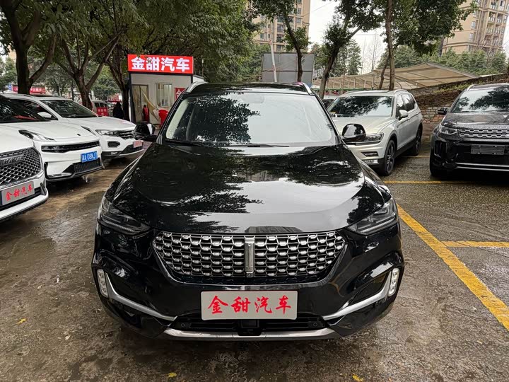 Wey VV6 2021 2021款 2.0T 两驱智护+