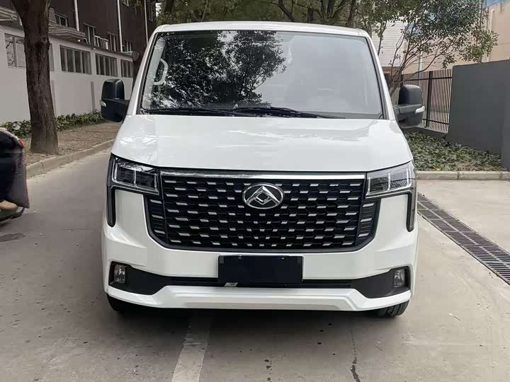 Maxus V80 2025 2025款 PRO傲运通 2.0T 手动短轴超低顶 7/8/9座