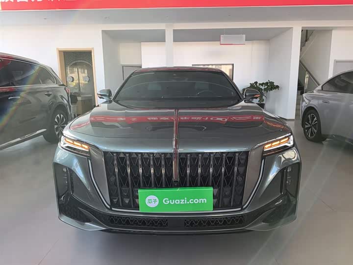 Hongqi H9 2024 2024款 2.0T 旗享 私享风尚版