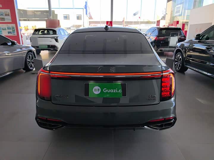 Hongqi H9 2024 2024款 2.0T 旗享 私享风尚版