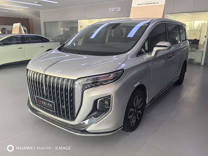 Hongqi HQ9 2023 2023款 2.0T 智联旗享版