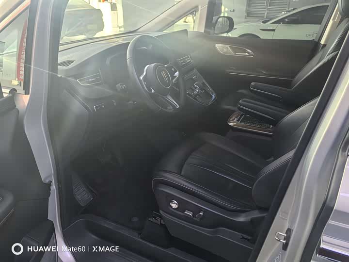 Hongqi HQ9 2023 2023款 2.0T 智联旗享版