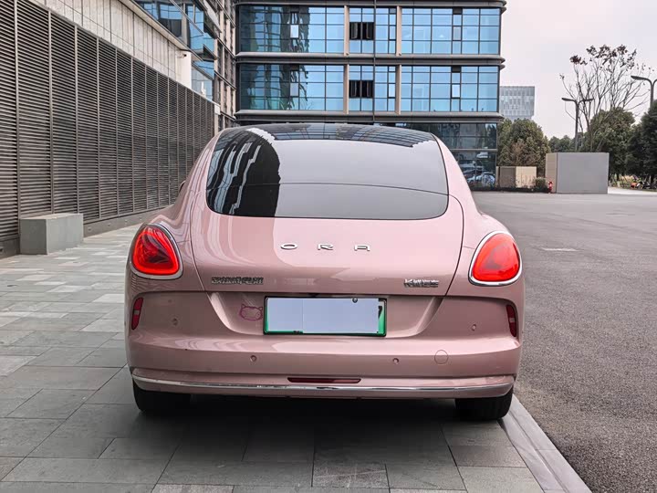 Ora Lightning Cat (07) 2022 2022款 555km 尊贵版