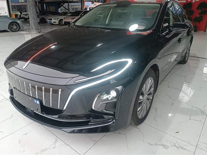 Hongqi E-QM5 2024 2024款 450km 出行版