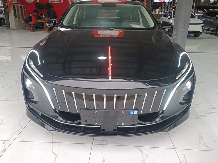 Hongqi E-QM5 2024 2024款 450km 出行版