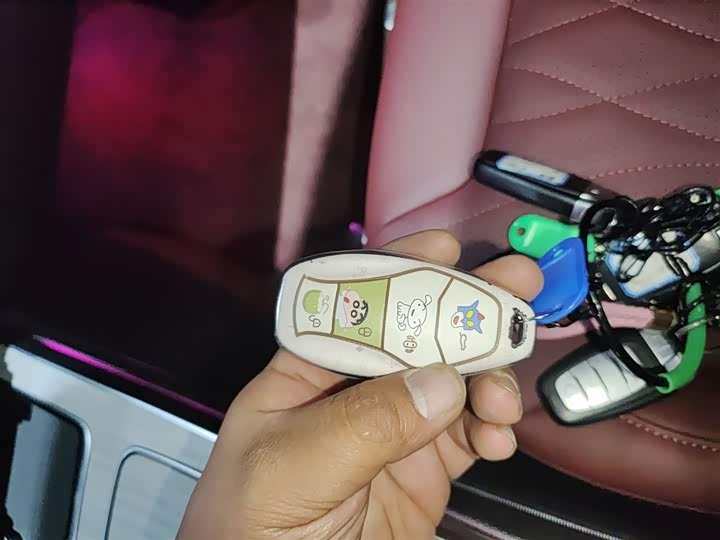 Hongqi HS5 2025 2025款 2.0T 两驱玄影版