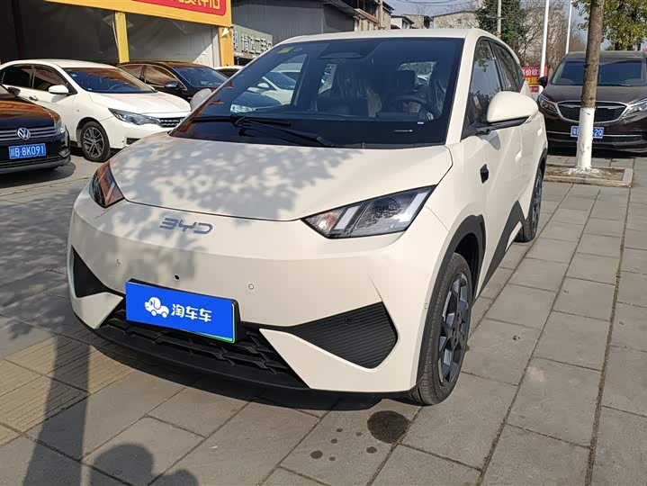 BYD Seagull 2025 2025款 智驾版 305km 活力版