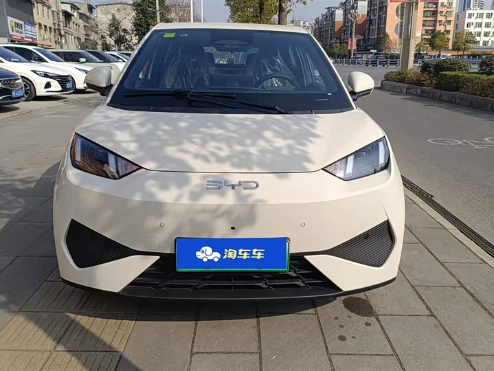 BYD Seagull 2025 2025款 智驾版 305km 活力版