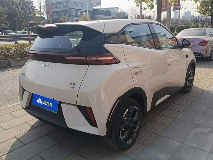 BYD Seagull 2025 2025款 智驾版 305km 活力版