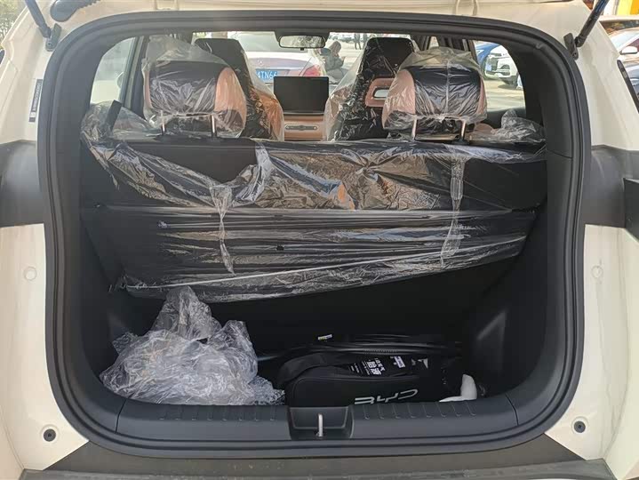 BYD Seagull 2025 2025款 智驾版 305km 活力版