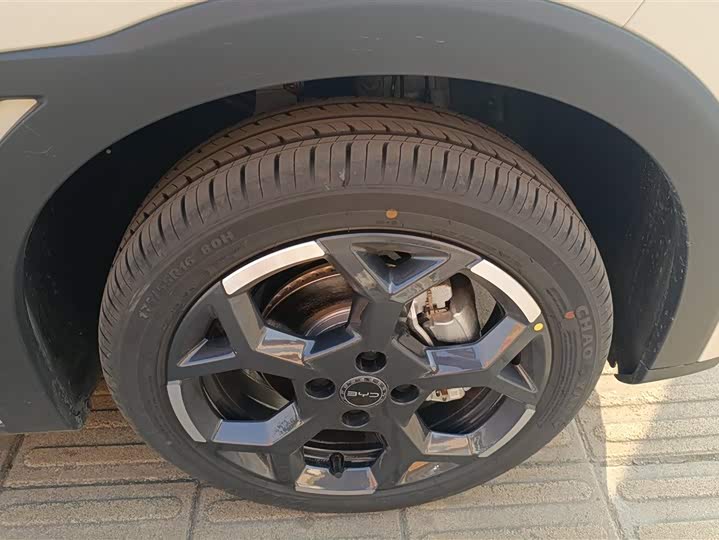 BYD Seagull 2025 2025款 智驾版 305km 活力版